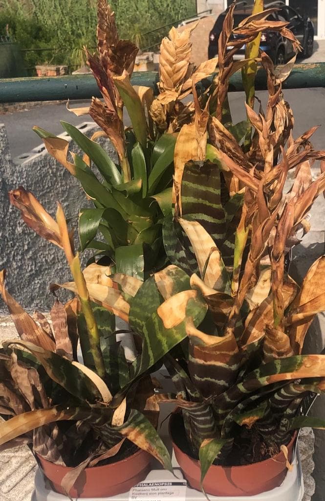 WhatsApp Image 2021-08-27 at 16.34.48 (1).jpeg